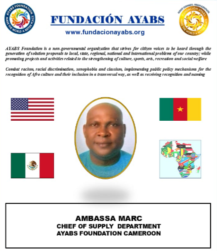 Screenshot 2025-03-11 112604