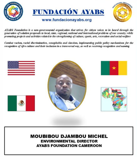 Screenshot 2025-03-11 123714